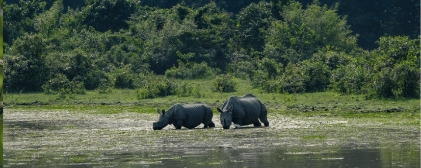 National parks in india
