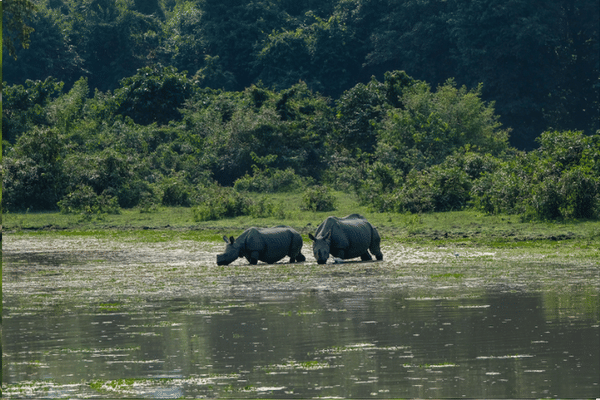 National parks in india