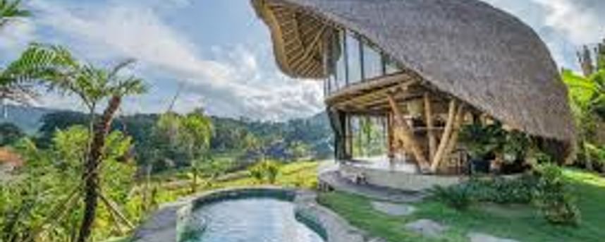 Innovative Bamboo House Designs: Embracing Nature's Elegance