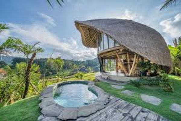 Innovative Bamboo House Designs: Embracing Nature's Elegance
