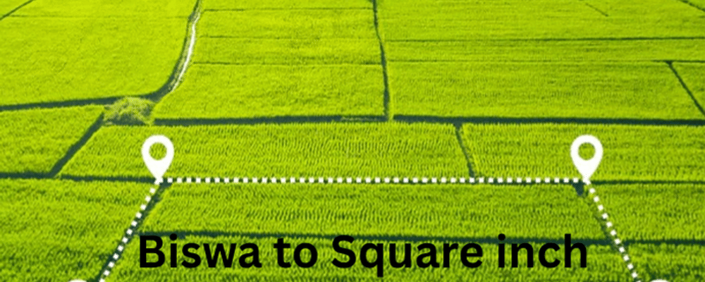 Biswa to Square inch