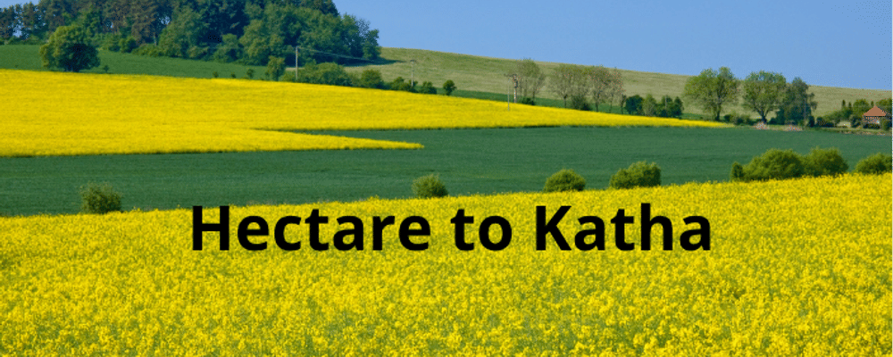 Hectare to Katha