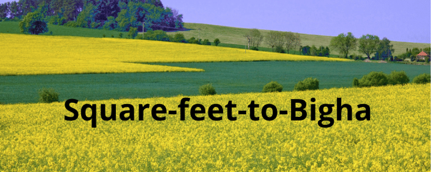 Square feet to Bigha