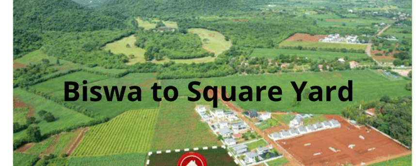 Biswa to Square Yard